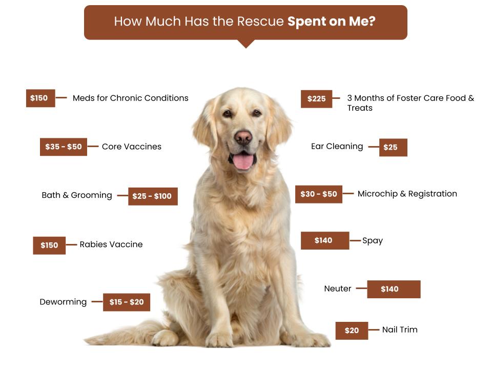 Have A Heart Humane Society Fee Graphic