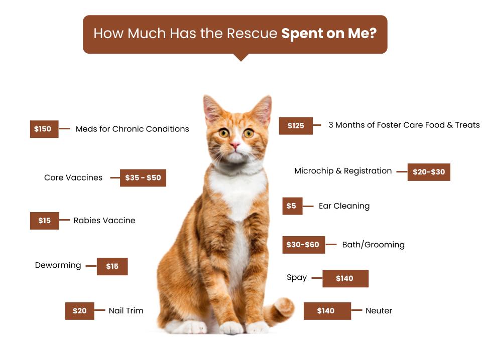 Have A Heart Humane Society Fee Graphic copy